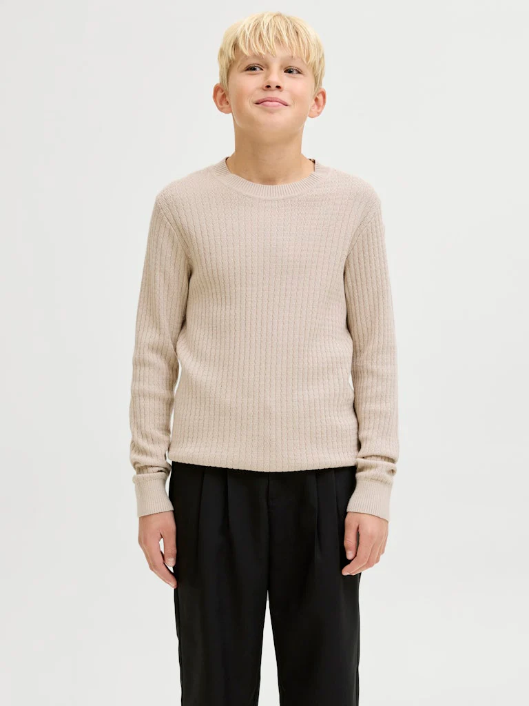 BLUBARKLEY KNIT CREW NECK GENSER - Simply Taupe - Image 3