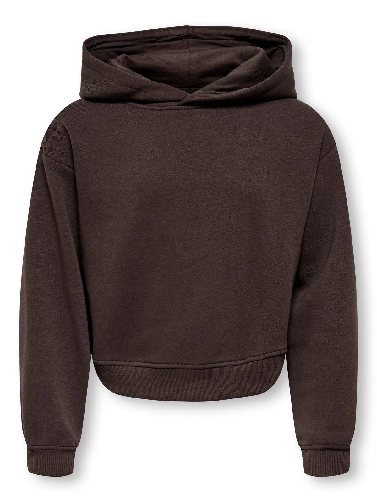 SWEAT HETTEGENSER - COFFEE BEAN - Image 2