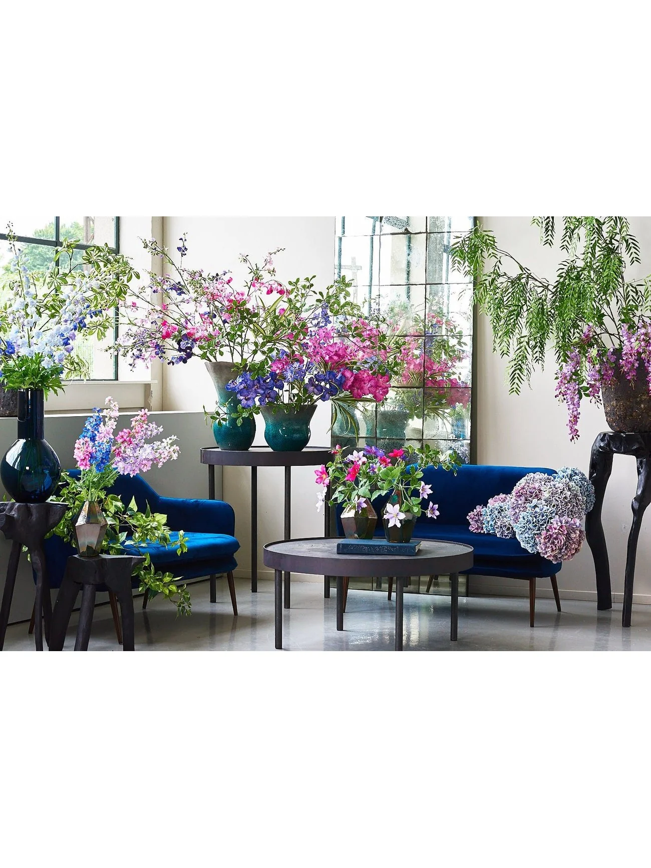 Riddersporer lavender 101cm - Image 11