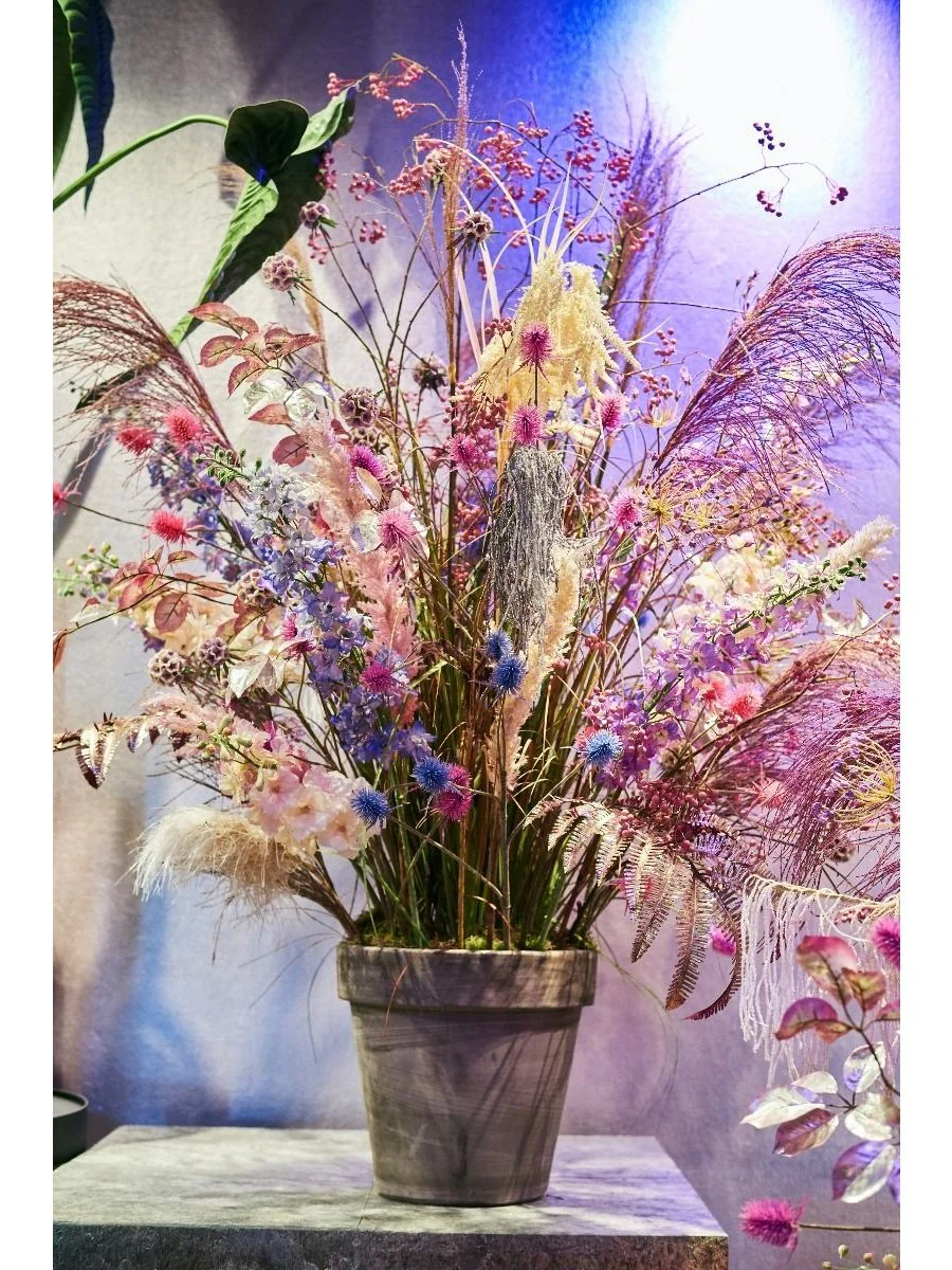 Riddersporer lavender 101cm - Image 6
