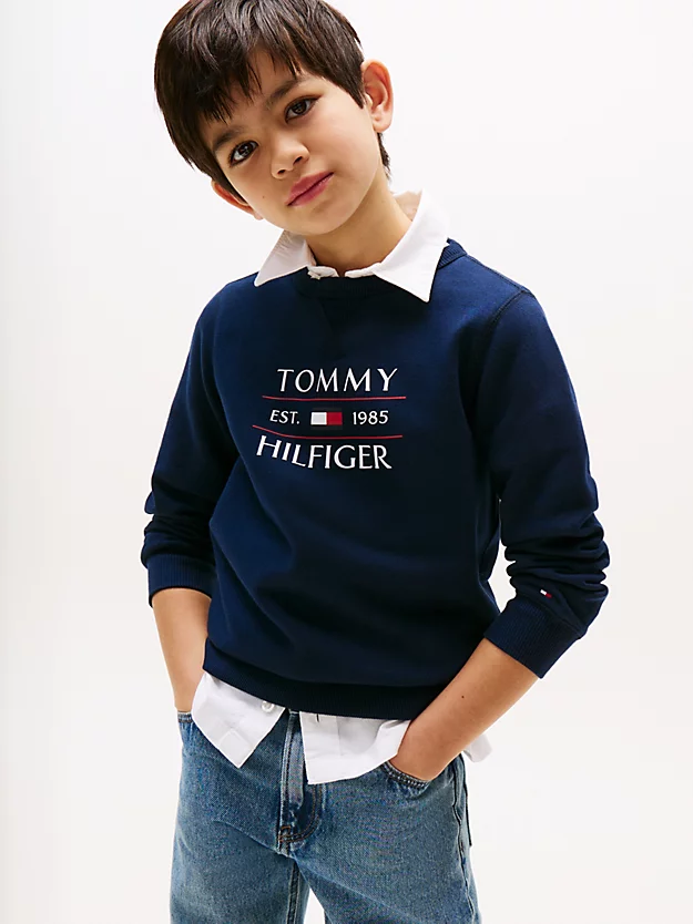 FLAG HILFIGER GENSER - Dark Night Navy - Image 2