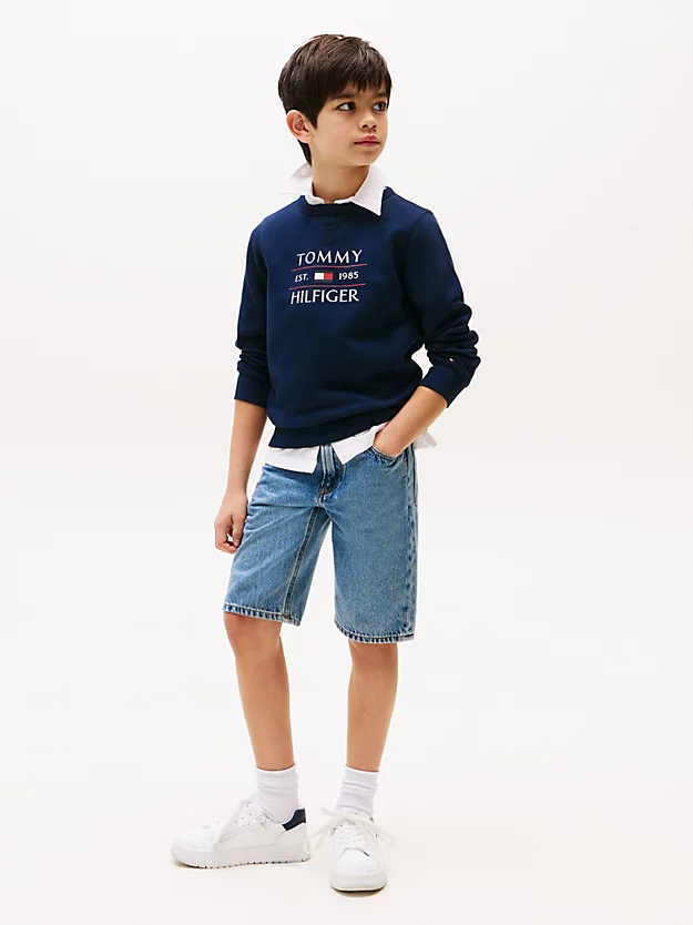 FLAG HILFIGER GENSER - Dark Night Navy - Image 3
