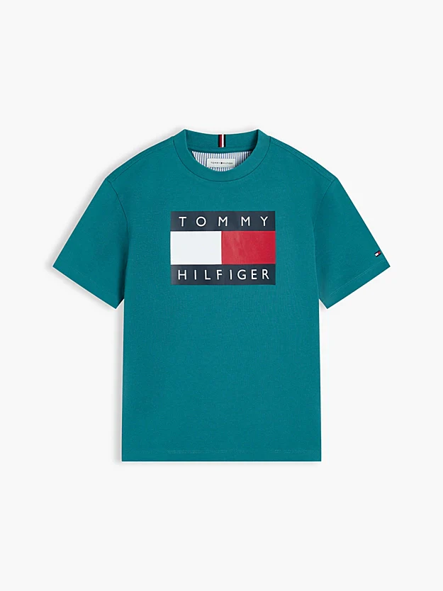 HERITAGE PRINTED FLAG T SHIRT - Fort Green CT3