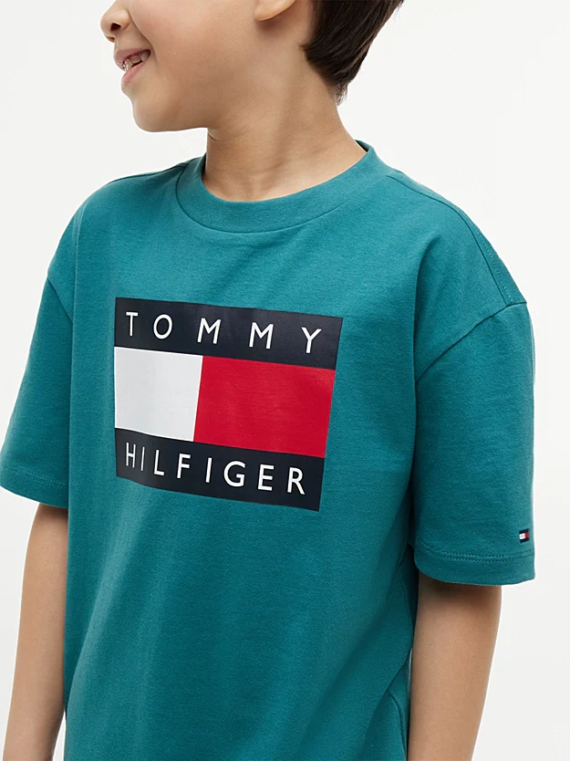 HERITAGE PRINTED FLAG T SHIRT - Fort Green CT3 - Image 5